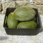 Heirloom Christmas Melon Piel de Sapo Cucumis melo - 25 Seeds