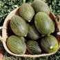 Heirloom Christmas Melon Piel de Sapo Cucumis melo - 25 Seeds