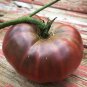 Organic Heirloom Tomato True Black Brandywine Lycopersicon lycopersicum - 30 Seeds