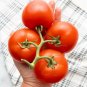 Cute Tomato Pun Heirloom Friendship and Love Seed Favor Gift - 1 Pack