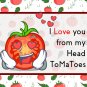 Cute Tomato Pun Heirloom Friendship and Love Seed Favor Gift - 1 Pack