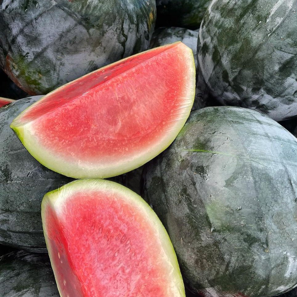 Heirloom Black Diamond Large Watermelon Citrullus lanatus - 20 Seeds