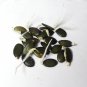 Styrian Heirloom Hulless Oilseed Pumpkin Squash Organic  - 20 Seeds
