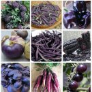 Organic Power of Purple Heirloom Vegetables Collection - 9 Varieties