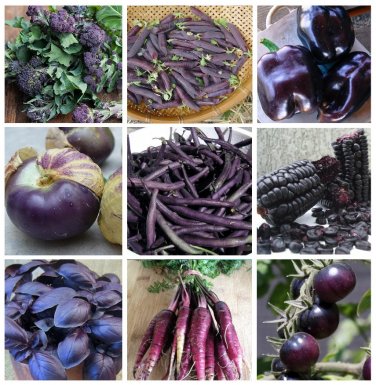 Power of Purple Organic Heirloom Vegetables Collection - 9 Varieties