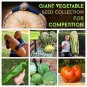 Giant Competition Vegetable Seed Collections - 6 Varieties
