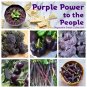 Purple Power to the People Superfood Heirloom OP Vegetable Seed Collection - 6 Varieties