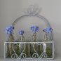 Blue Forget Me Not Myosotis Sylvatica - 200 Seeds
