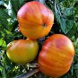 Heirloom Beefsteak Tomato Sweet Pineapple Organic Lycopersicon lycopersicum - 25 Seeds