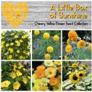 A Little Box of Sunshine Yellow Flower Seed Collection - 6 Varieties