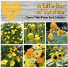 Cheery Little Box of Sunshine Yellow Flower Seed Collection - 6 Varieties
