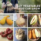 Ugly Vegetables Heirloom Garden Seed Collection - 6 Varieties
