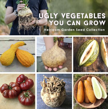 Ugly Vegetables Heirloom Garden Seed Collection - 6 Varieties
