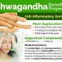 Medicinal Herb Organic Ashwagandha Withania somnifera - 50 Seeds