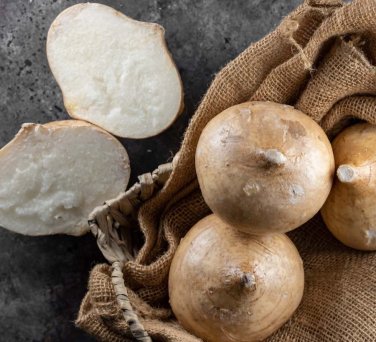 Organic Jicama Mexican Potato Pachyrhizus Erosus - 30 Seeds