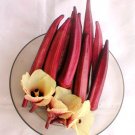 Sale! Organic Red Okra Abelmoschus esculentus 2 for 1 - 100 Seeds