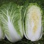 Napa Cabbage Tender Sweet Brassica rapa parachinensis - 150 Seeds