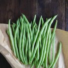 Bulk Heirloom Landreths Stringless Green Bush Beans Phaseolus vulgaris - 250 Seeds