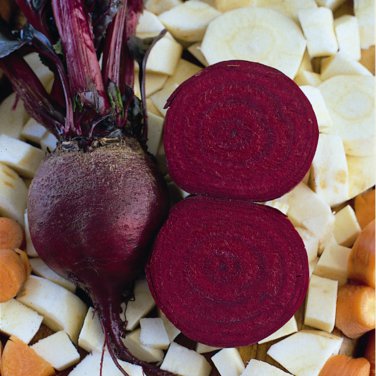 Sale! Detroit Red Heirloom Beet Beta vulgaris- 300 Seeds