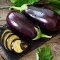 Heirloom Aubergine Eggplant Black Beauty Solanum melongena - 50 Seeds
