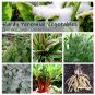 Perennial Vegetables Cold Hardy  Heirloom Seed Collection - 6 Varieties