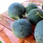 Heirloom Sugar Baby Ice Box Watermelon Citrullus lanatus - 25 Seeds
