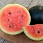 Sugar Baby Ice Box Heirloom Watermelon Citrullus lanatus - 25 Seeds