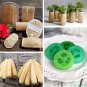 Loofah Luffa Sponge Gourd Luffa aegyptiaca cylindrica - 10 Seeds
