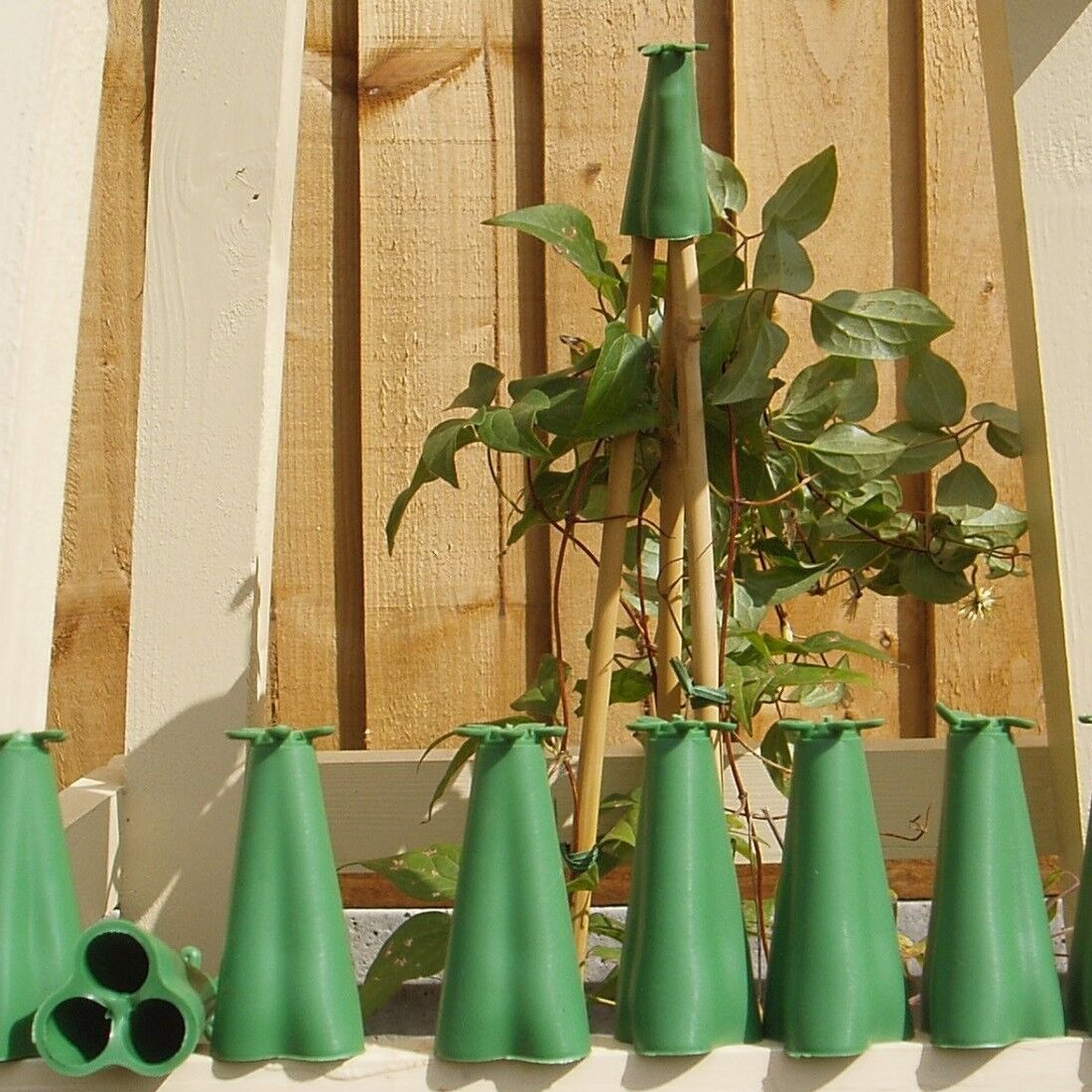 Garden Pole Trellis Stake Support Rubber Cane Caps Canetoppers - Pack of 3