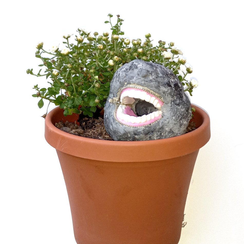 Plant Buddy Plant Companion Smiling and Laughing Concrete Rocks