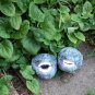 Plant Buddy Plant Companion Smiling and Laughing Concrete Rocks