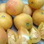 Rare Heirloom Wapsipinicon Garden Peach Tomato Organic Lycopersicon lycopersicum - 25 Seeds