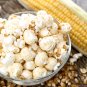 Amish Mushroom Popcorn Zea mays - 30 Seeds