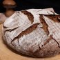 Rare Heirloom Ancient Wheat Grain True Black Winter Emmer Triticum dicoccon var. atratum - 80 Seeds