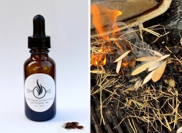 Concentrated Liquid Fynbos Seed Smokeprimer Seed Germination Aid - 30ml