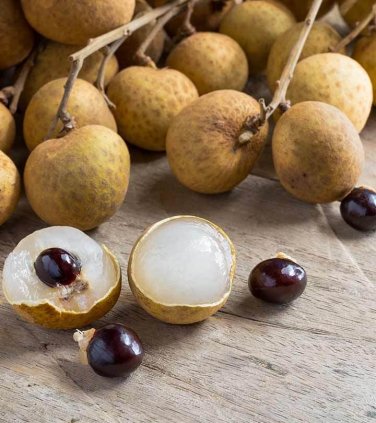Dragons Eye Longan Fruit Rare Dimocarpus longan - 8 Seeds/Fruits