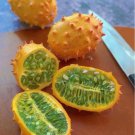 Horned Melon African Kiwano Cucumis metuliferus - 20 Seeds