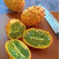 Horned Melon African Kiwano Cucumis metuliferus - 20 Seeds