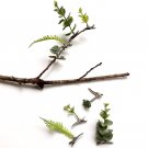 Plant Hair Clip Handmade Faux Fern Succulent Sprout - Set of 4