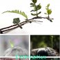 Plant Hair Clip Handmade Faux Fern Succulent Sprout - Set of 4