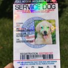 Service Dog ID Card Customized Holographic
