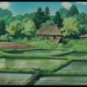 My Neighbor Totoro DVD
