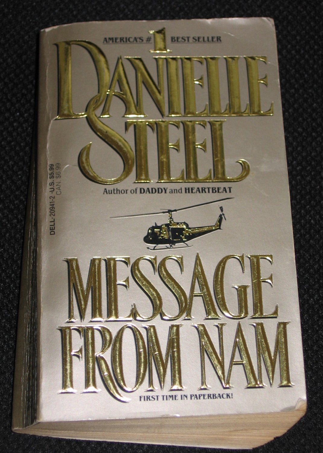 danielle steel message from nam movie