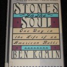 Stones in the Soul A Day in the Life of a Rabbi by Ben Kamin (1990, Hardcover)