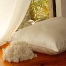 Organic Wool - Woolie Ball Filled Standard Pillow - Heavy Fill