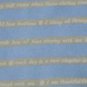 Organic Cotton Flannel Ruffled Crib Comforter Duvet Cover - Blue/Khaki Print