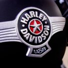 Harley Davidson USA Bike Emblem