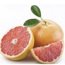 Star Ruby Grapefruit tree, 1-2 ft. tall, grafted, Can’t ship to Az, Fl, La, Tx