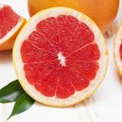 Ruby Red Grapefruit Tree, 1-2 feet tall, grafted, No Ship Az, Ca, Fl, La, Tx