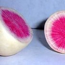 Watermelon Radish Seeds - 300 Seeds